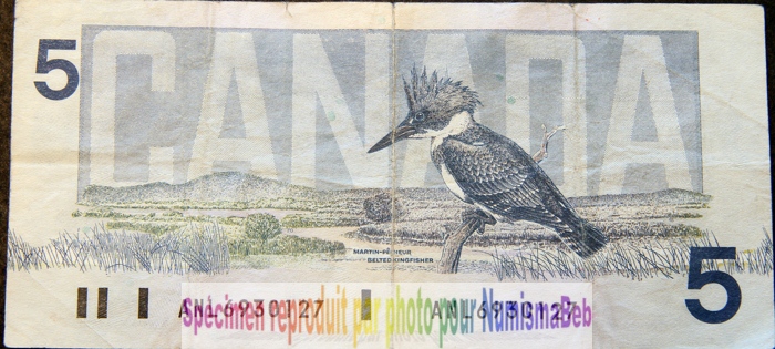 5 Dollars 1986 Canada